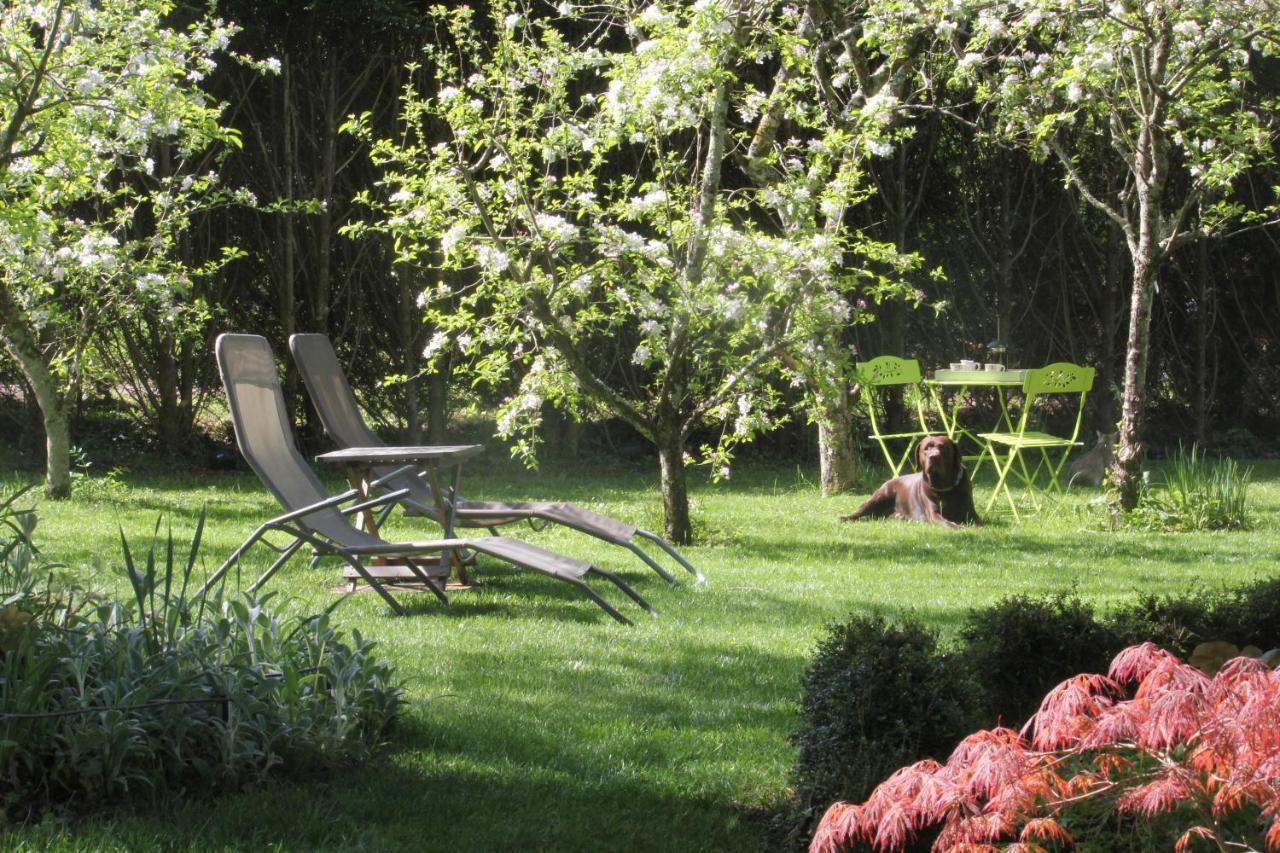 Le Jardin Sarlat Bed & Breakfast Dış mekan fotoğraf