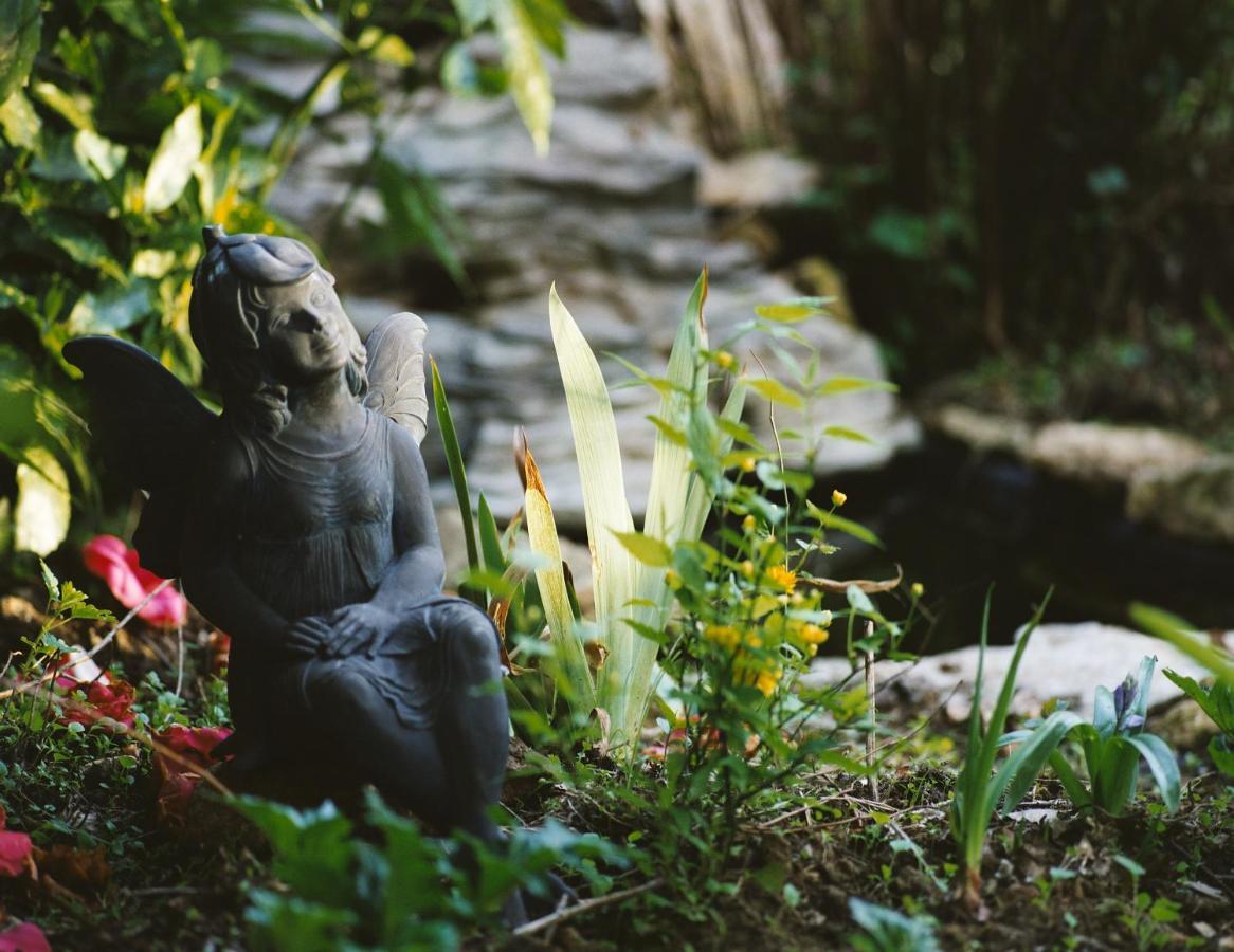 Le Jardin Sarlat Bed & Breakfast Dış mekan fotoğraf